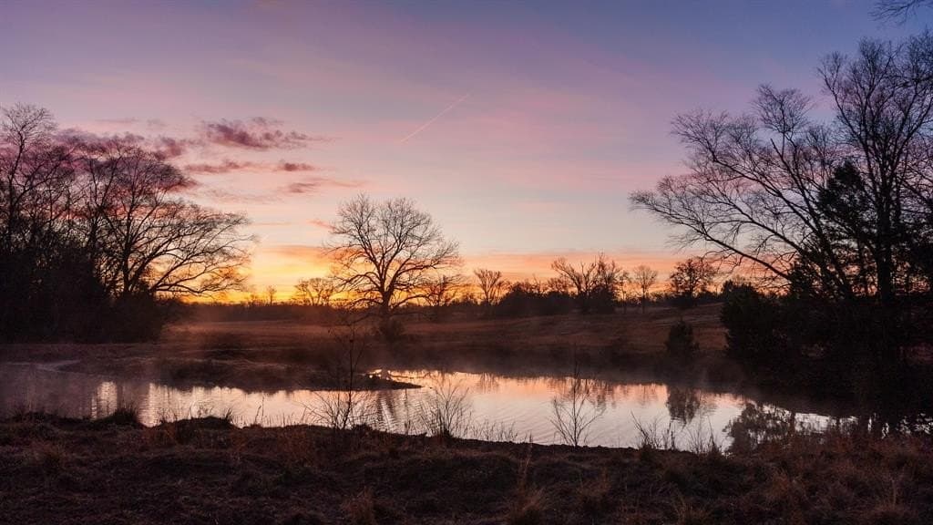 546.5 acres in Smith County - photo 5