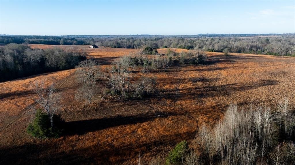 546.5 acres in Smith County - photo 26