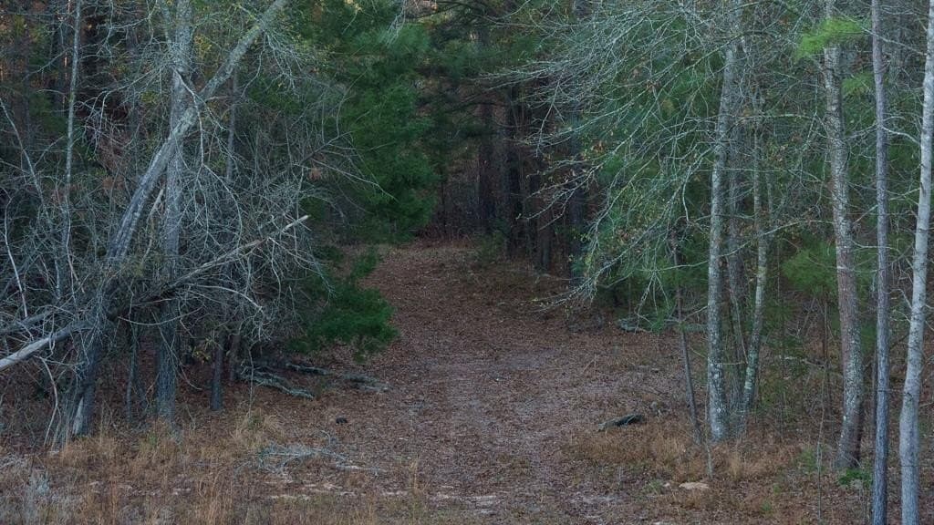 546.5 acres in Smith County - photo 23