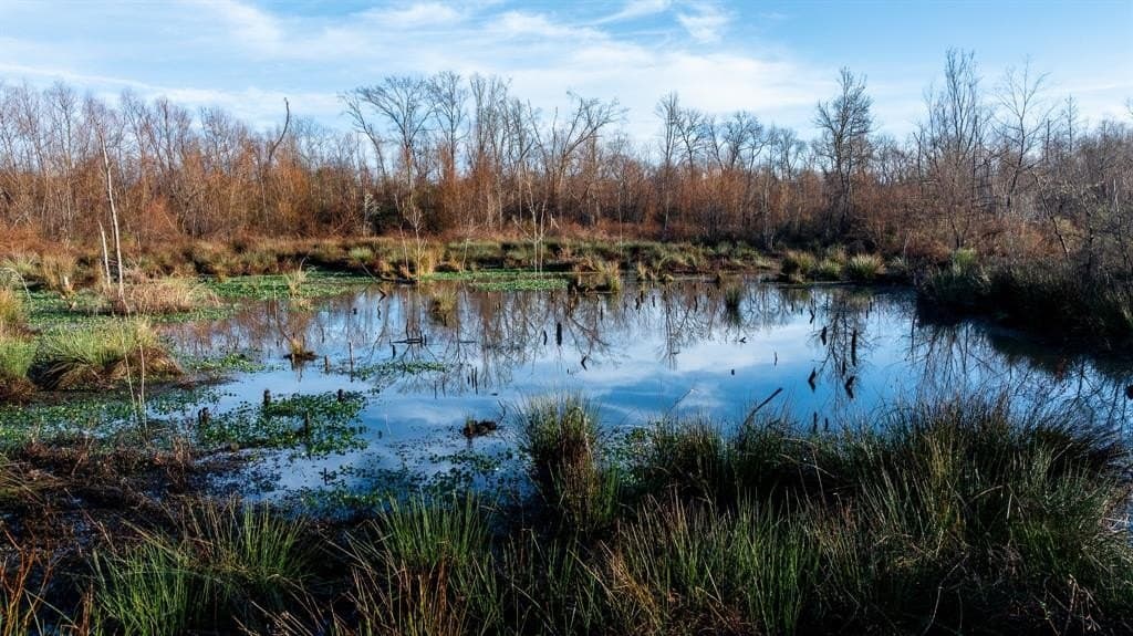 546.5 acres in Smith County - photo 24