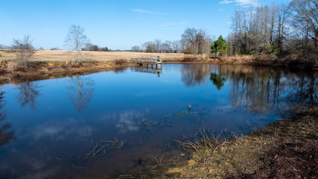 546.5 acres in Smith County - photo 37