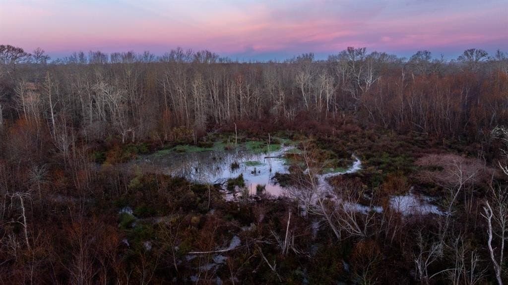 546.5 acres in Smith County - photo 9