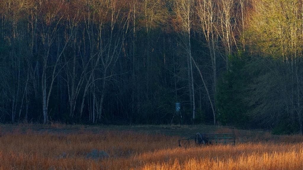 546.5 acres in Smith County - photo 20