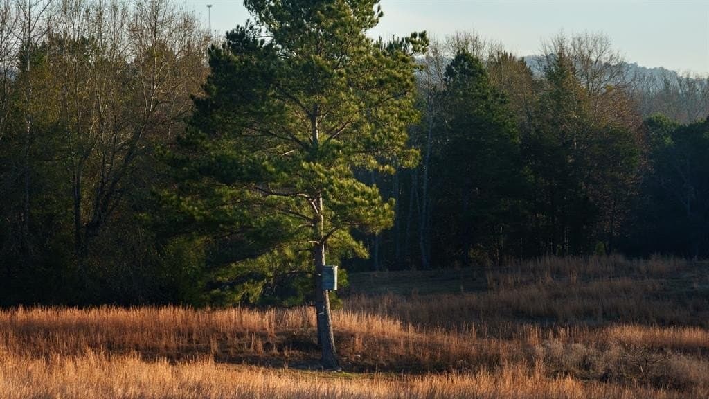 546.5 acres in Smith County - photo 21