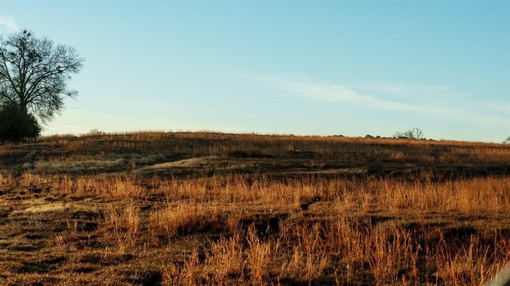 546.5 acres in Smith County - photo 19