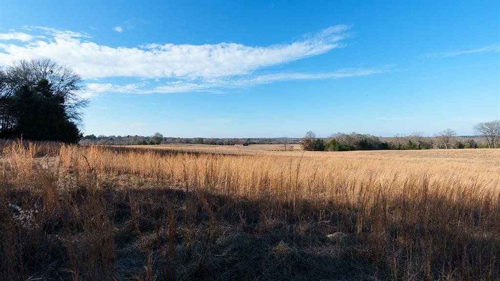546.5 acres in Smith County - photo 29