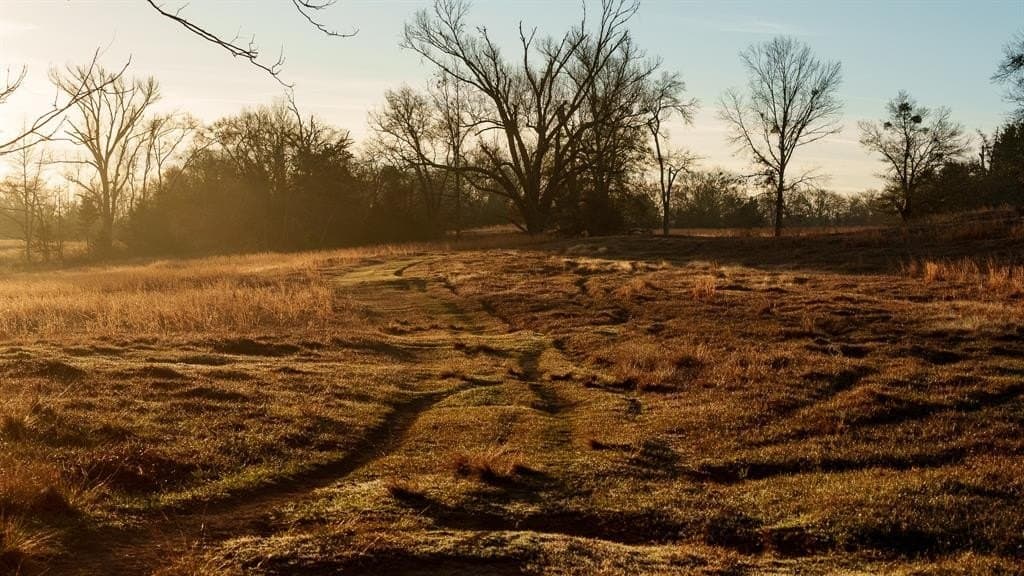 546.5 acres in Smith County - photo 18