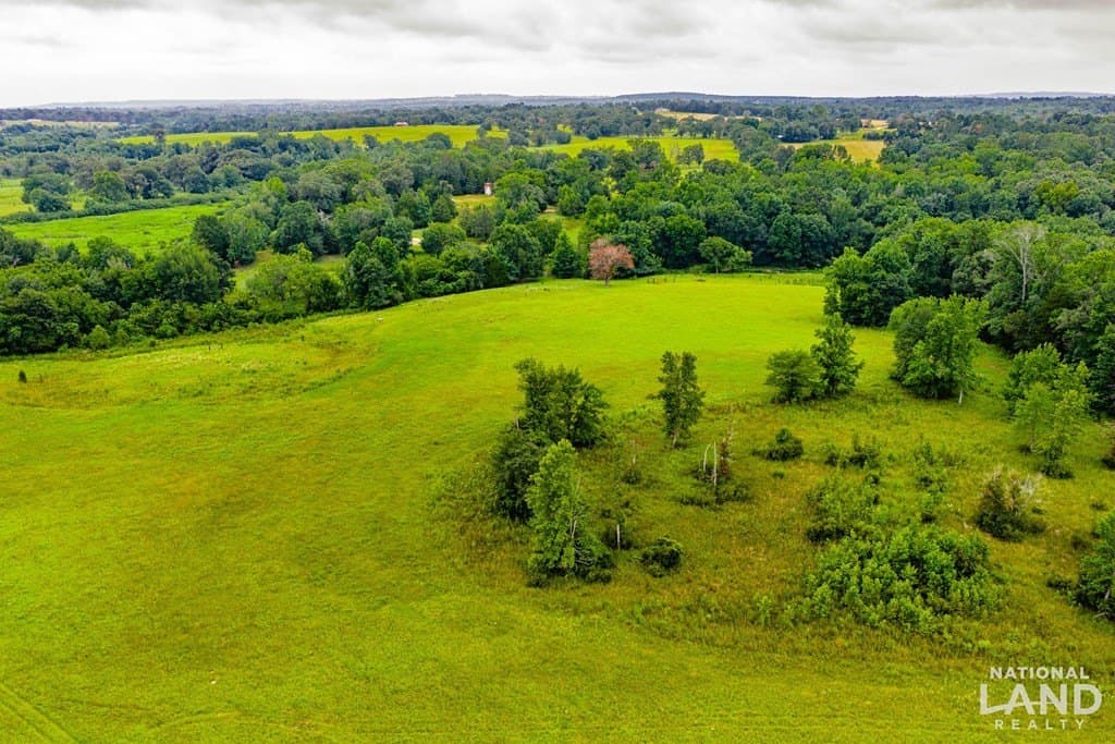 55.25 acres in Anderson County - photo 7