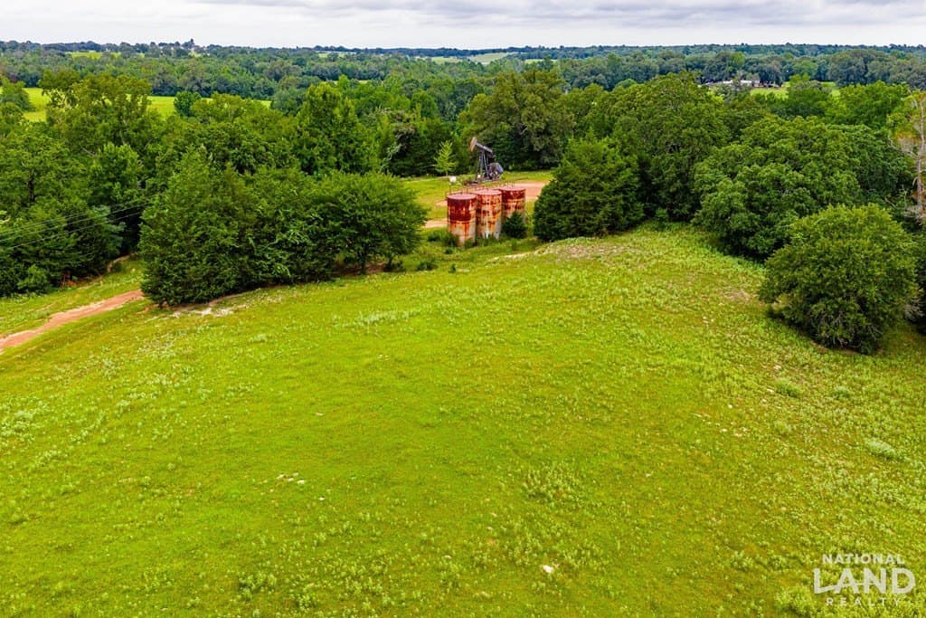 55.25 acres in Anderson County - photo 5