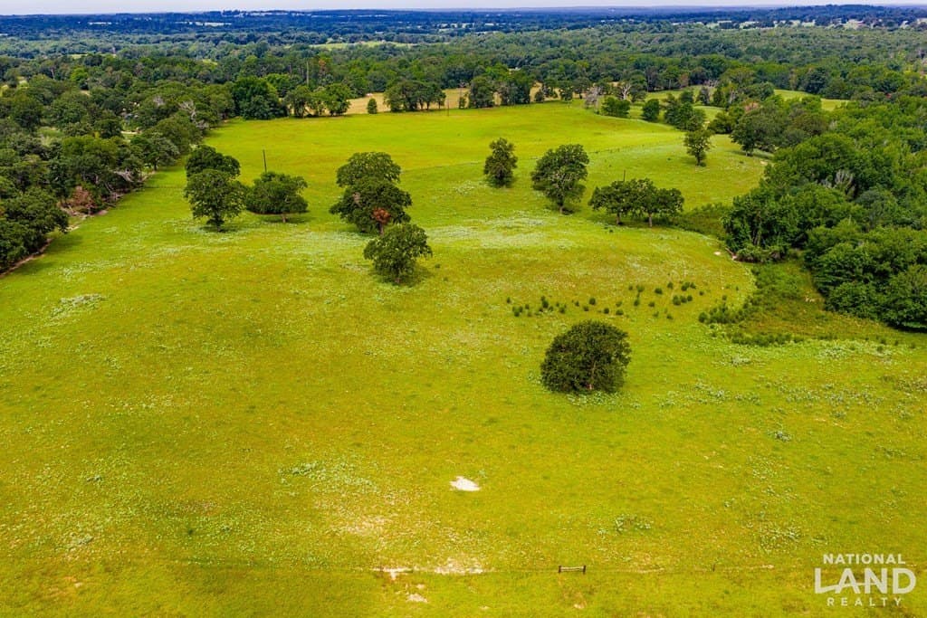 55.25 acres in Anderson County - photo 13