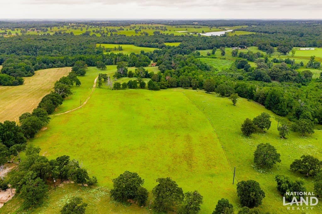 55.25 acres in Anderson County - photo 19