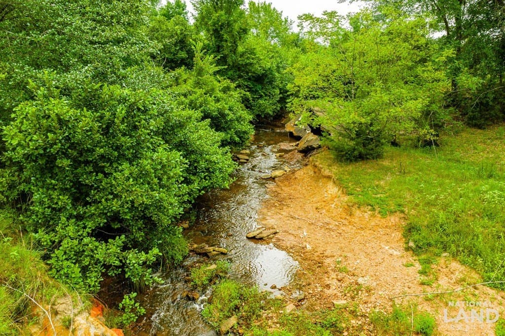 55.25 acres in Anderson County - photo 9
