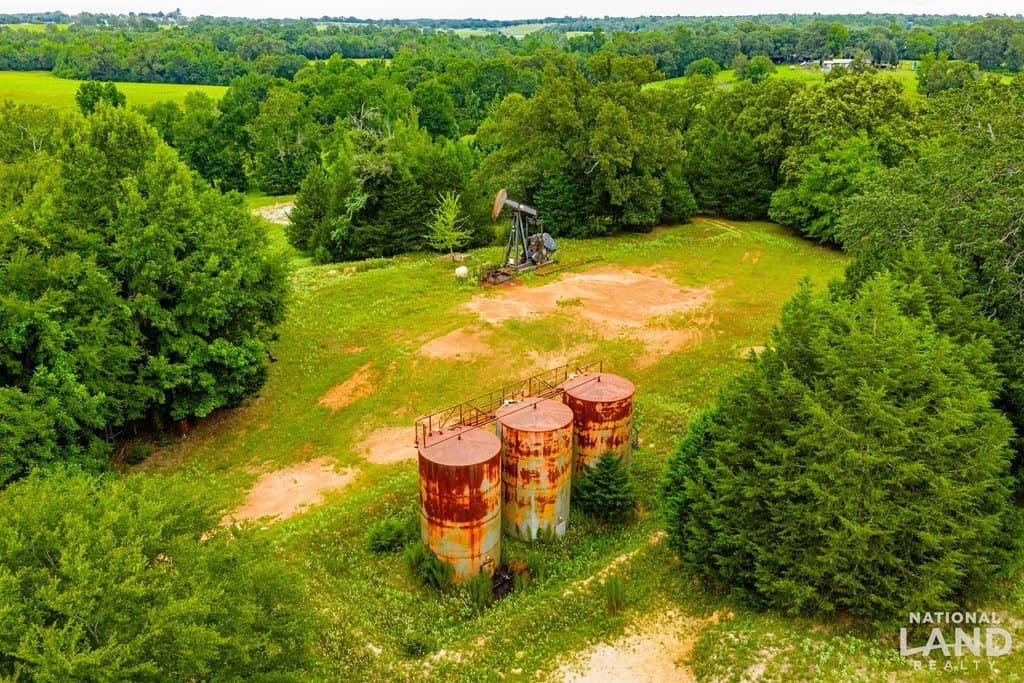 55.25 acres in Anderson County - photo 6