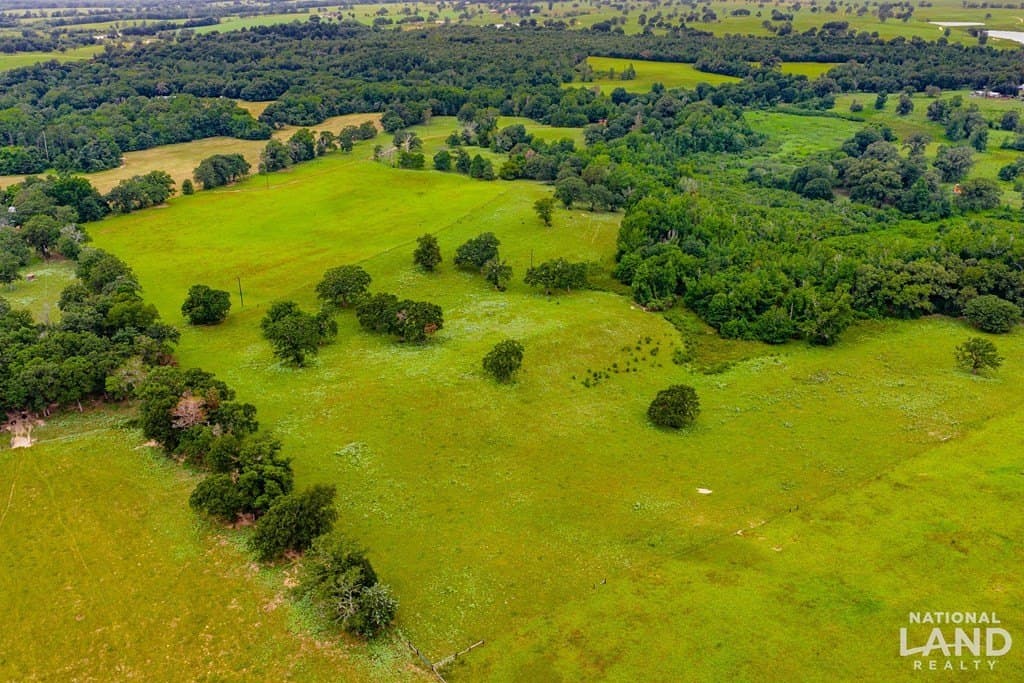 55.25 acres in Anderson County - photo 17
