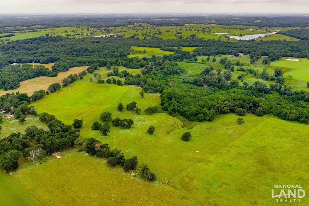 55.25 acres in Anderson County - photo 16