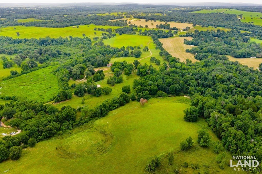 55.25 acres in Anderson County - photo 14