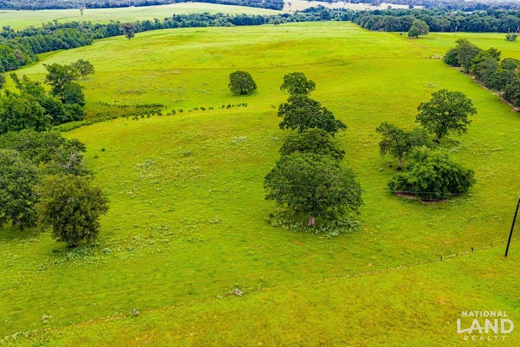 55.25 acres in Anderson County - photo 4