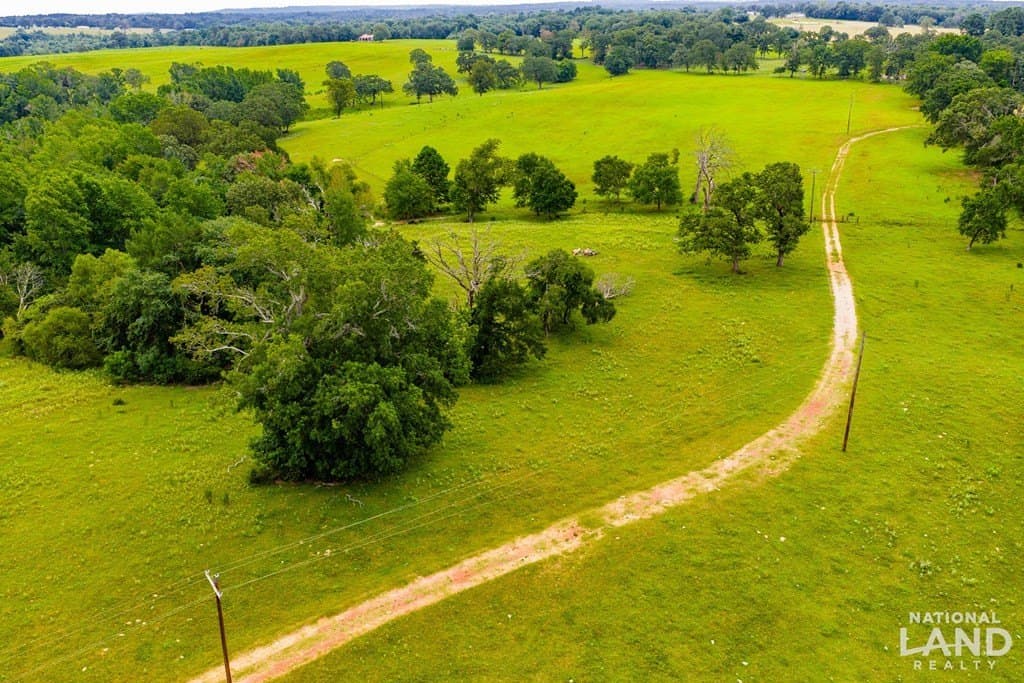 55.25 acres in Anderson County - photo 11