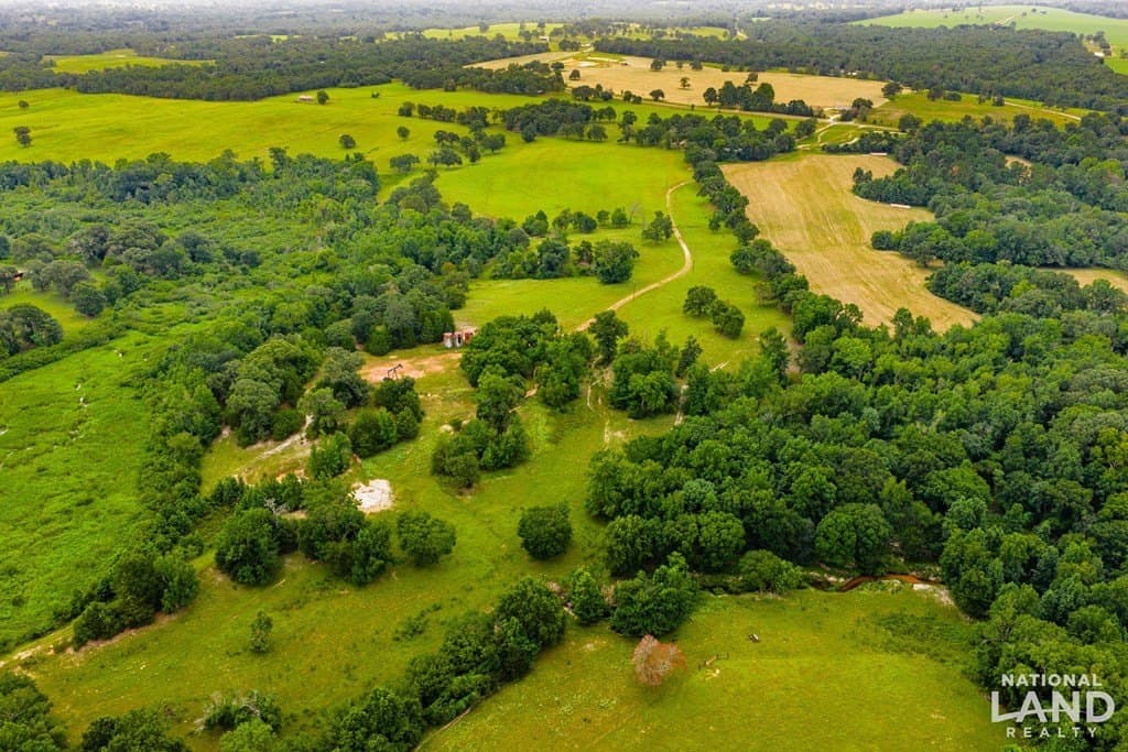 55.25 acres in Anderson County - photo 15