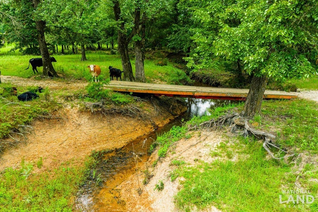 55.25 acres in Anderson County - photo 8