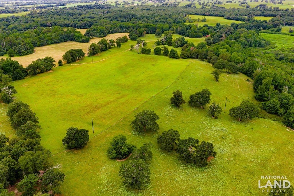 55.25 acres in Anderson County - photo 18