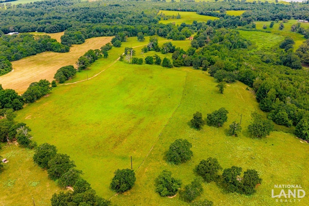 55.25 acres in Anderson County - photo 12