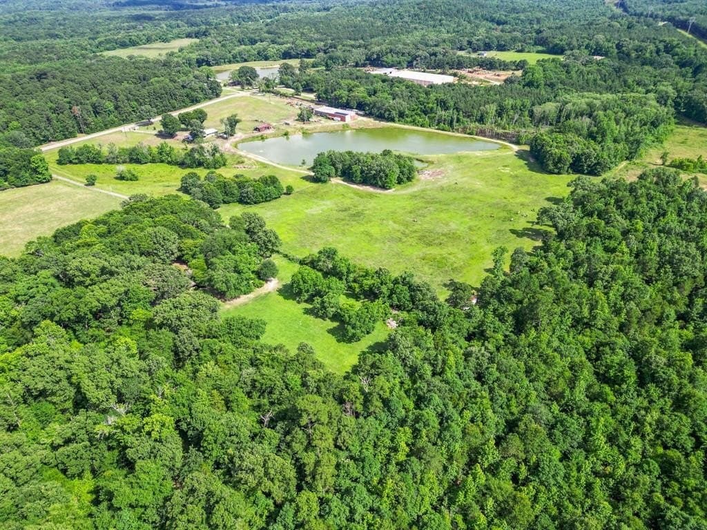 31.2 acres in Cass County - photo 28