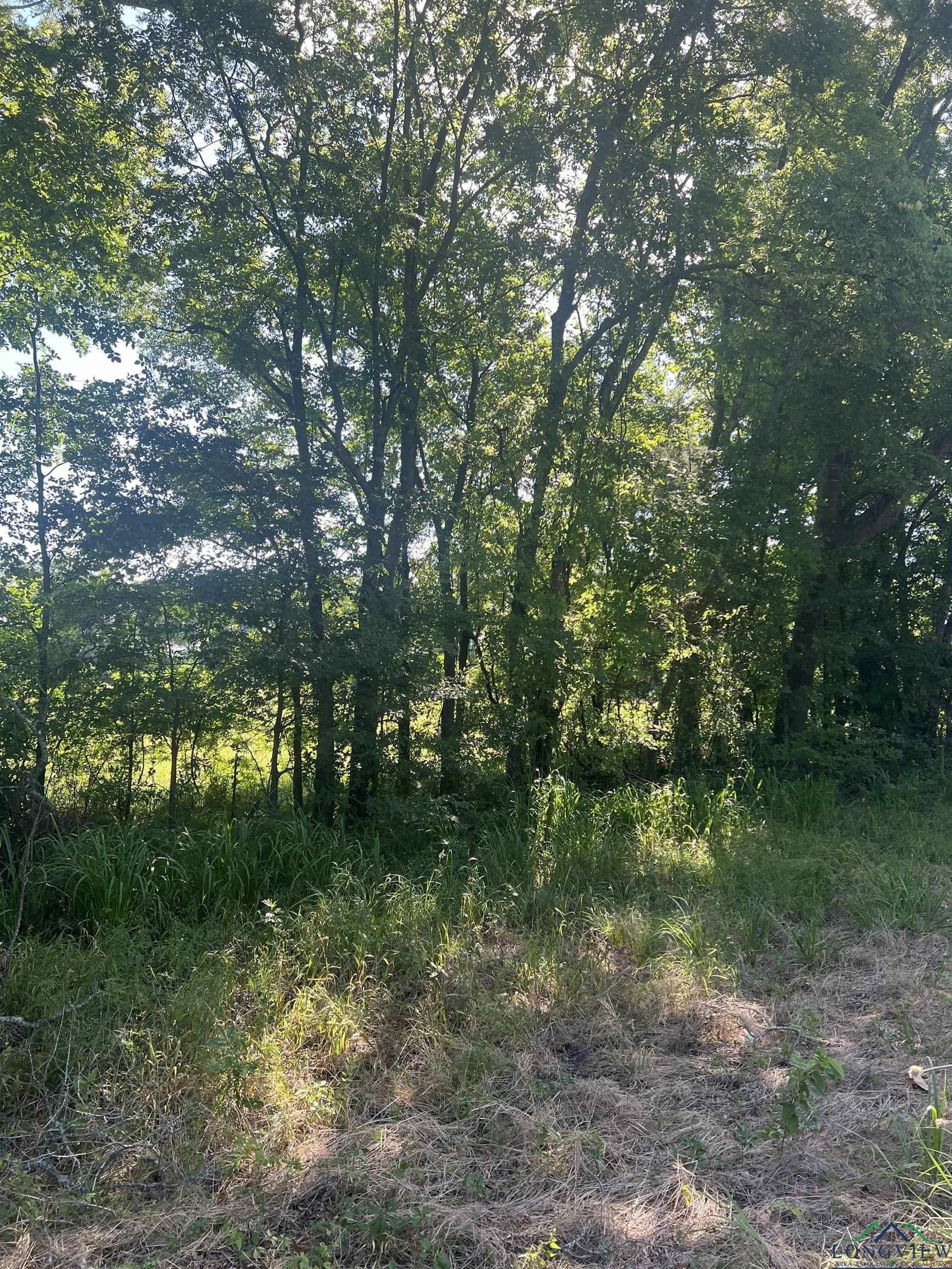 16.5 acres in Titus County - photo 2