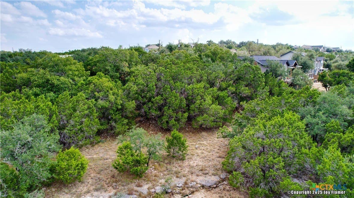 0.65 acres in Comal County - photo 8