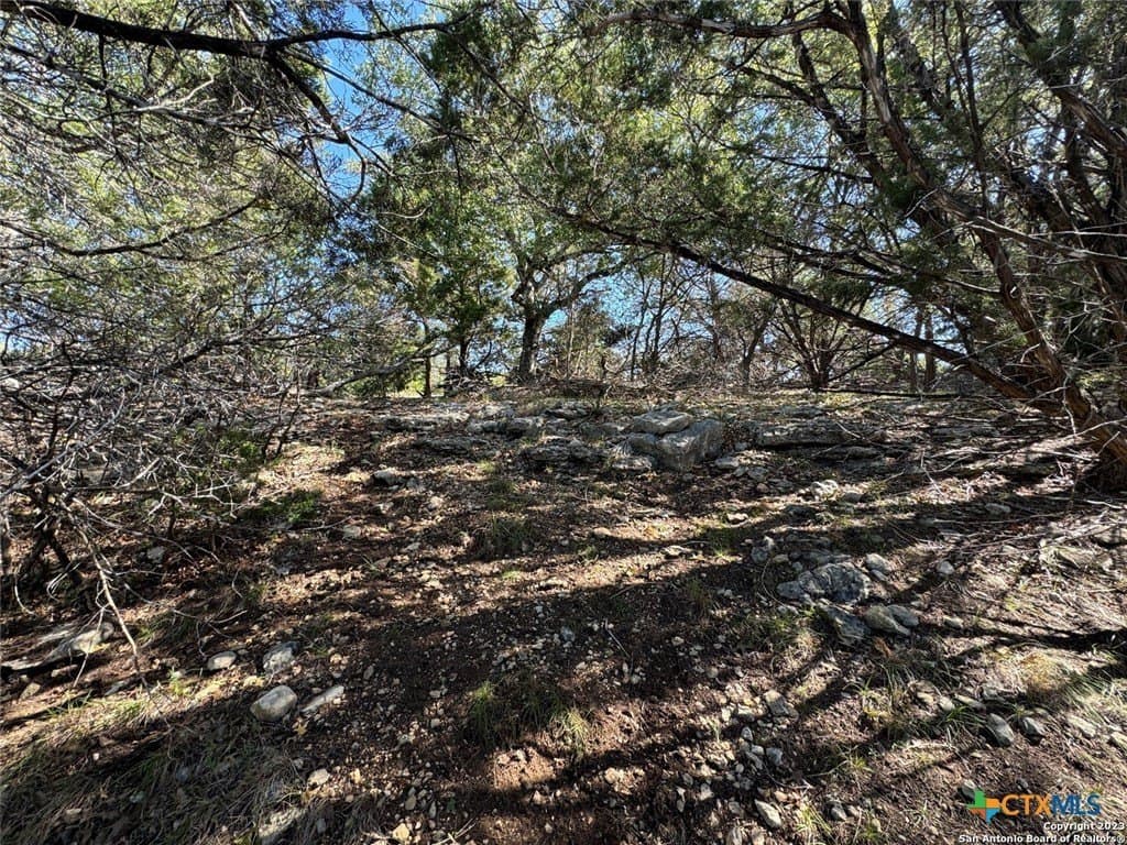 0.65 acres in Comal County - photo 3