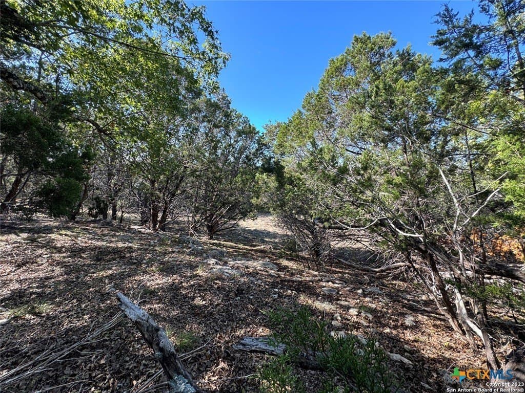0.65 acres in Comal County - photo 6