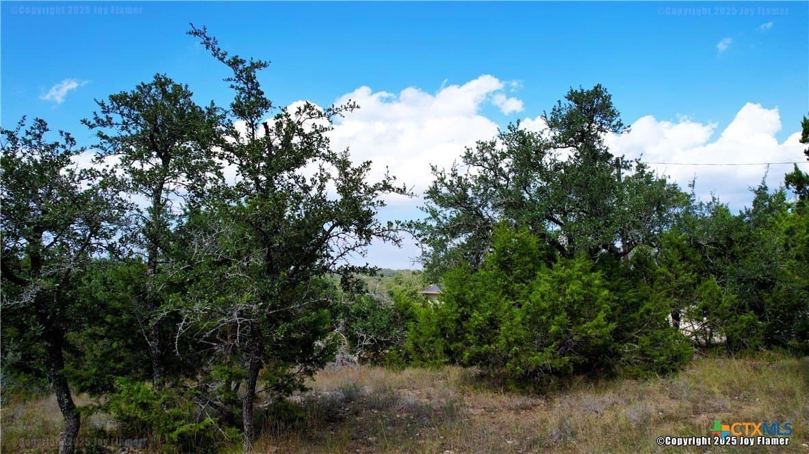 0.65 acres in Comal County - photo 7