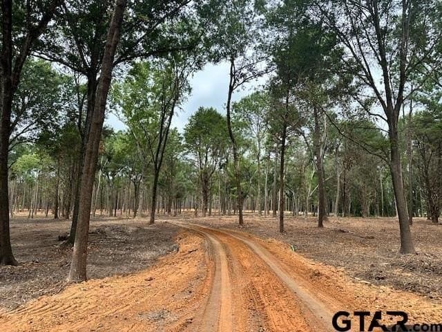 1 acres in Anderson County - photo 11