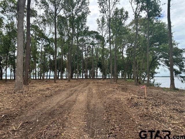 1 acres in Anderson County - photo 14