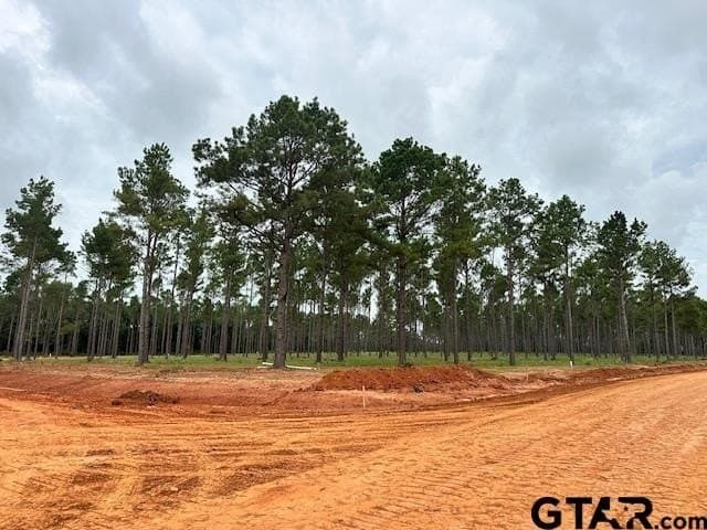 1 acres in Anderson County - photo 10