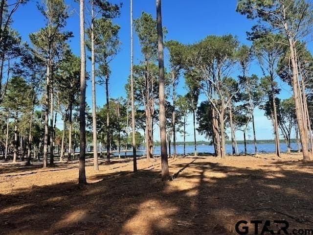 1 acres in Anderson County - photo 3