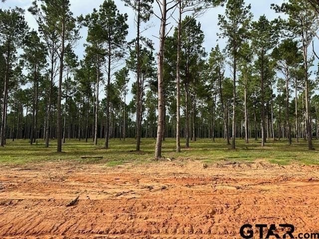 1 acres in Anderson County - photo 2