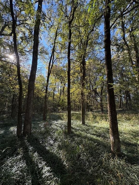 43.1 acres in Lamar County - photo 19