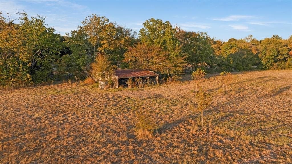 43.1 acres in Lamar County - photo 13