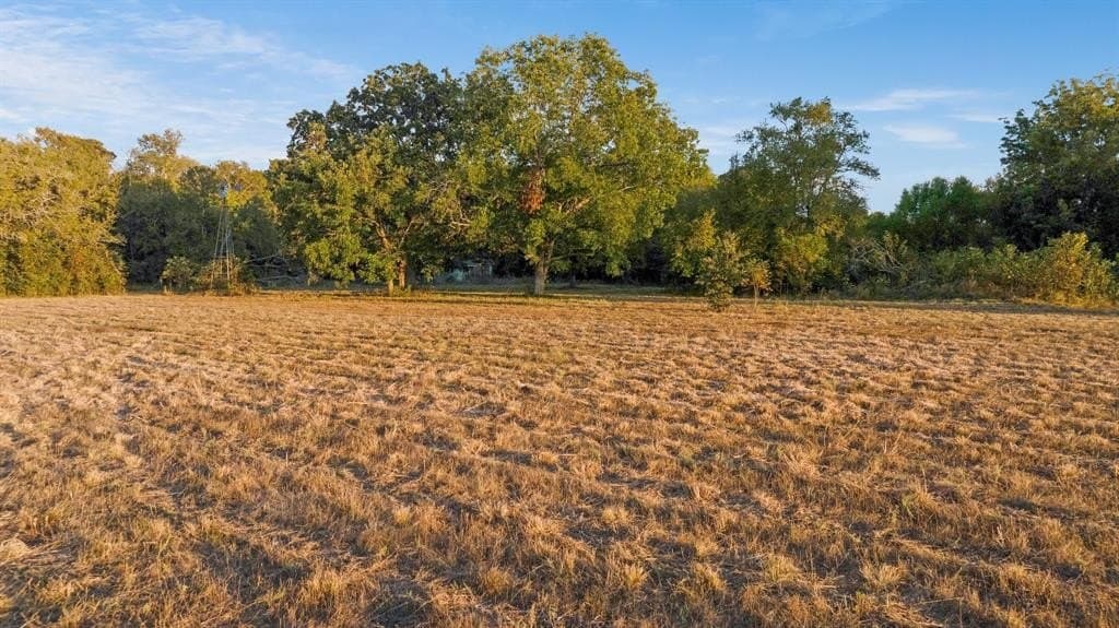 43.1 acres in Lamar County - photo 10