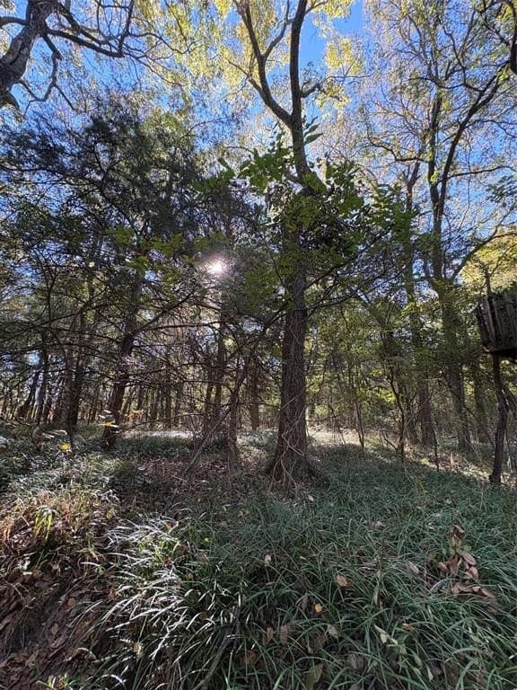 43.1 acres in Lamar County - photo 23