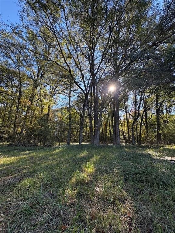 43.1 acres in Lamar County - photo 17