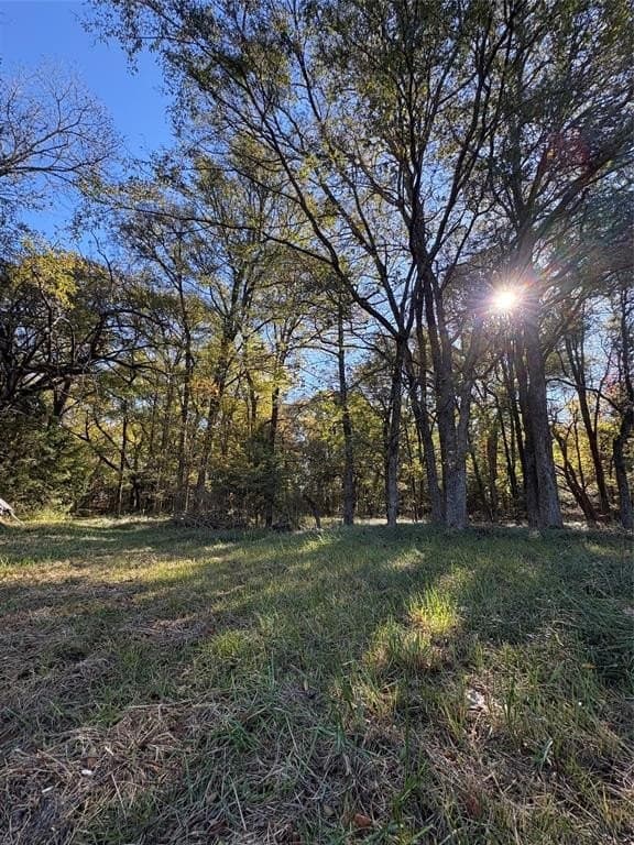 43.1 acres in Lamar County - photo 16