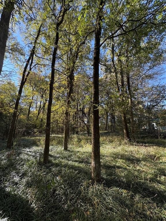 43.1 acres in Lamar County - photo 20