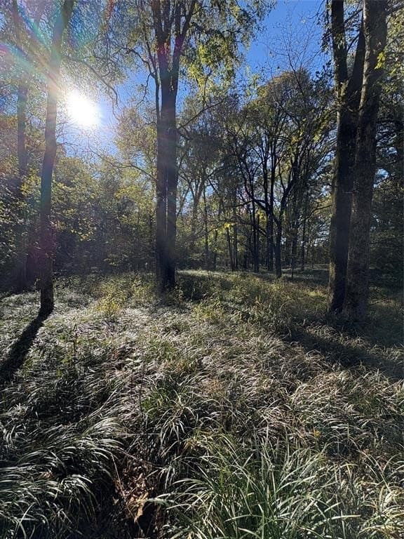 43.1 acres in Lamar County - photo 25