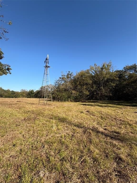 43.1 acres in Lamar County - photo 14