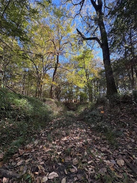 43.1 acres in Lamar County - photo 24