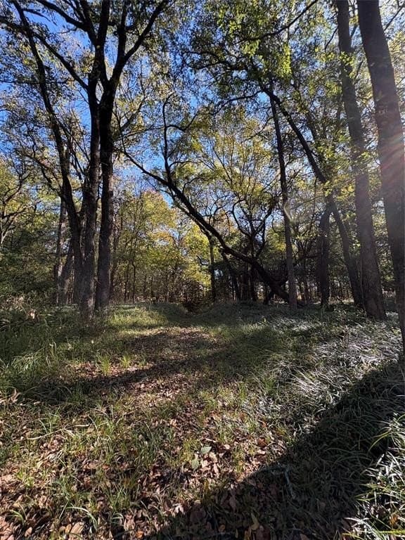 43.1 acres in Lamar County - photo 18