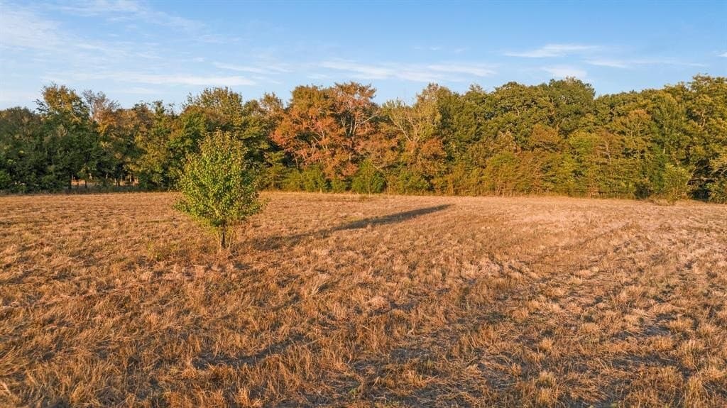 43.1 acres in Lamar County - photo 11