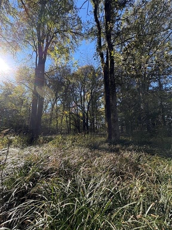 43.1 acres in Lamar County - photo 26
